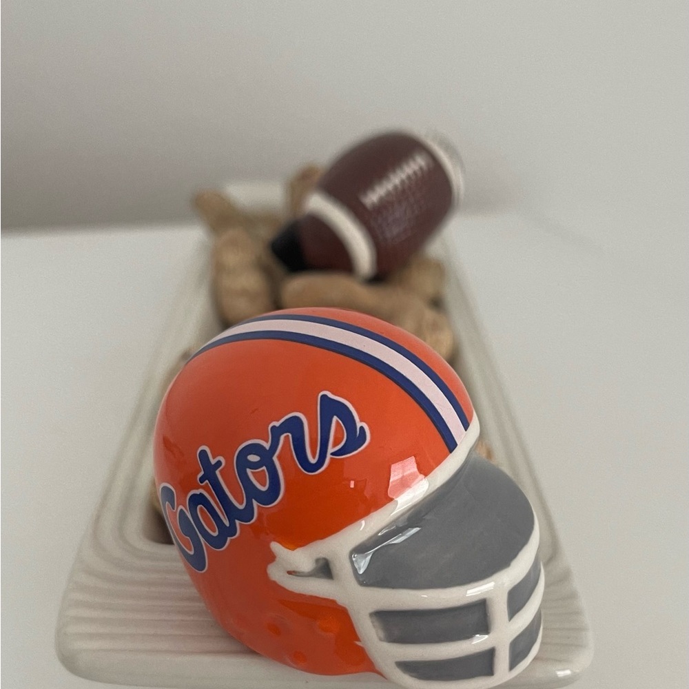 Nora Fleming Collegiate U Florida Helmet (A301)